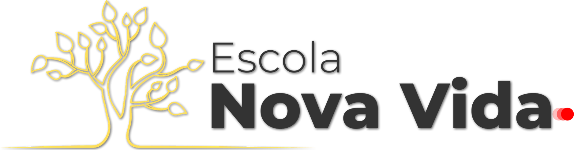 Escola Nova Vida